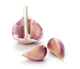 Pieces of garlic