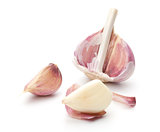 Garlic with shell removed