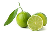 Fresh limes with green leaf