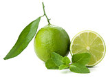 Ripe lime and mint