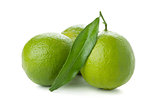 Three ripe limes with green leaf