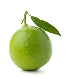 Ripe lime with green leaf