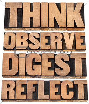 think, observe, digest, reflect