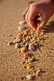 Playing with shells