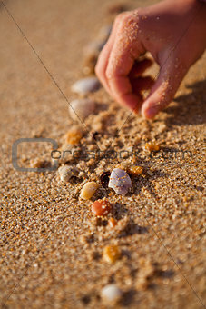 Playing with shells