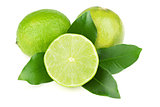 Fresh juicy limes