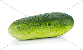Ripe cucumber fruit