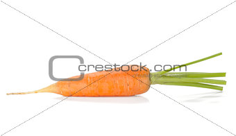 Fresh ripe carrot