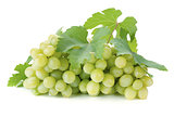 White grapes with leaves
