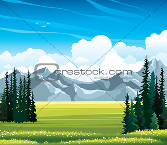 Summer landscape with fir, meadow and mountains.