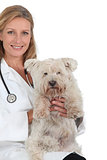 Dog veterinary