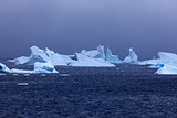 Ice floatin on Antarctic waters
