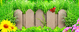 Wooden fence, flowers and green grass