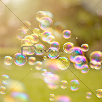 Summer Bubbles