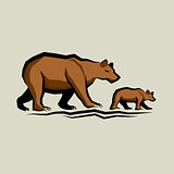 Brown Bear and Cub
