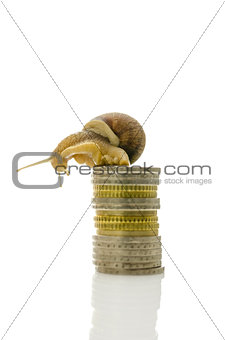 Snail sitting on top of coin stack