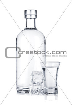 Bottle of vodka and shot glass with ice