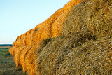 A haystacks on the field in August