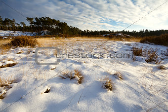 sunny meadows in snow