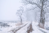 rural road in fog and snow