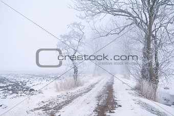 rural road in fog and snow