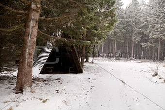 wooden hut in forest during snowfall
