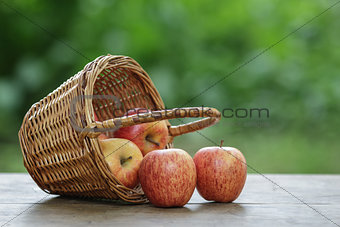 gala apples in a wicker basket