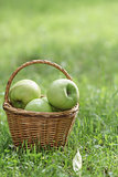 wicker basket full of green apples