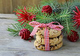 Christmas cookies with red ribbon and green fir