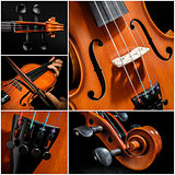 Violin Collage