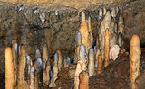 Harrison's Caves