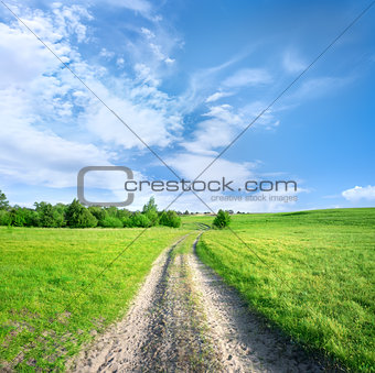Country road in a field