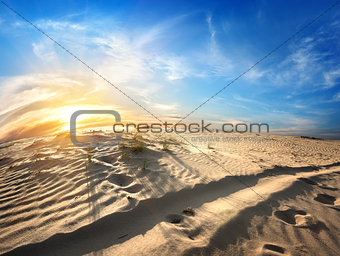 Footprints in desert