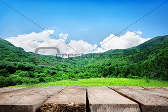 Mountains and wooden floor