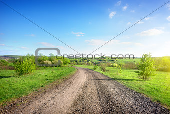 Road in a rural area