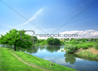 Spring landscape with the river