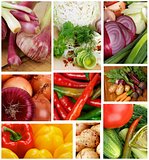 Collection of Raw Vegetables