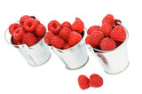 Buckets with Raspberries