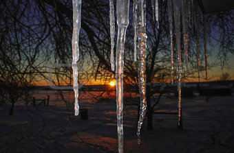 Icicles and Sunset