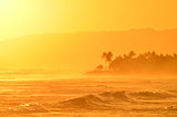 Tropical Hawaiian Sunset