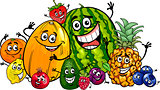 funny fruits group cartoon illustration
