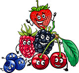 berry fruits group cartoon illustration