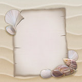 Shells and blank paper sheet.