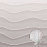 Marine background with seashell on sand.