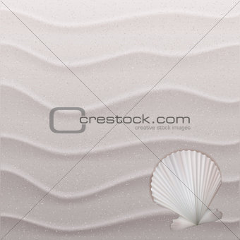 Marine background with seashell on sand.