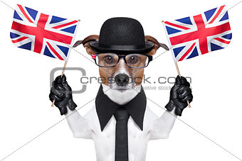 british dog 