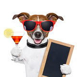 funny cocktail dog 