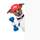 fitness dog  banner