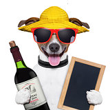 summer dog and wine bottle