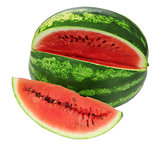 Fresh watermelon and slices isolated 